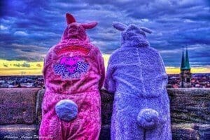 www.Streetbunnycrew.net
