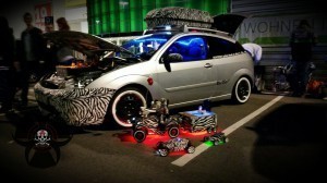 Ford Focus mit Zebraausstattung