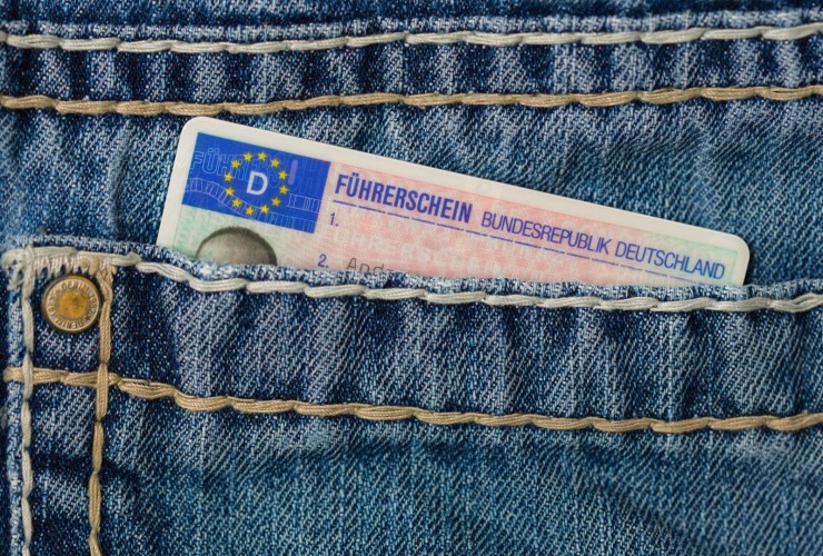 cropped drivers license 3605411