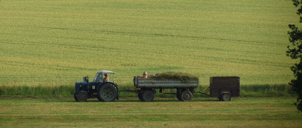 cropped-agriculture-354679_1920-1.jpg