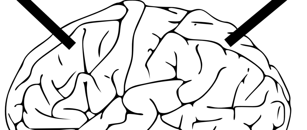 cropped-brain-312428.png