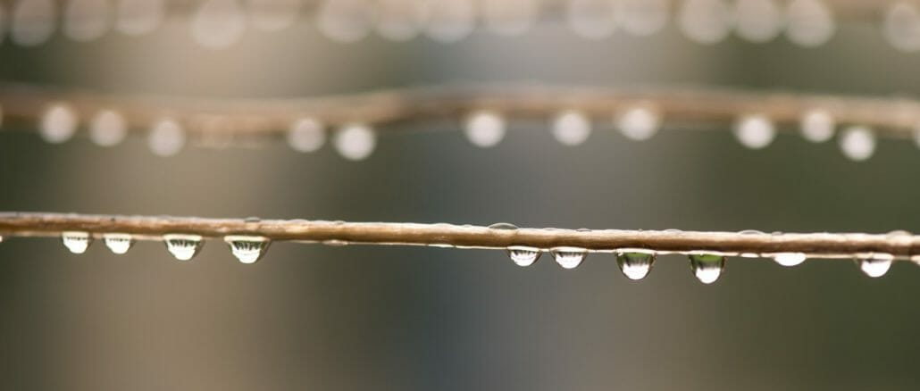 cropped-Schnur-1.jpg