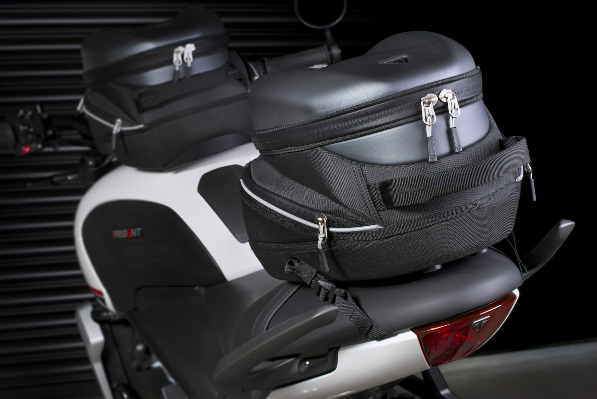TRIUMPH Trident 660 presented all data and information › Motorcycles.News MotorcycleMagazine