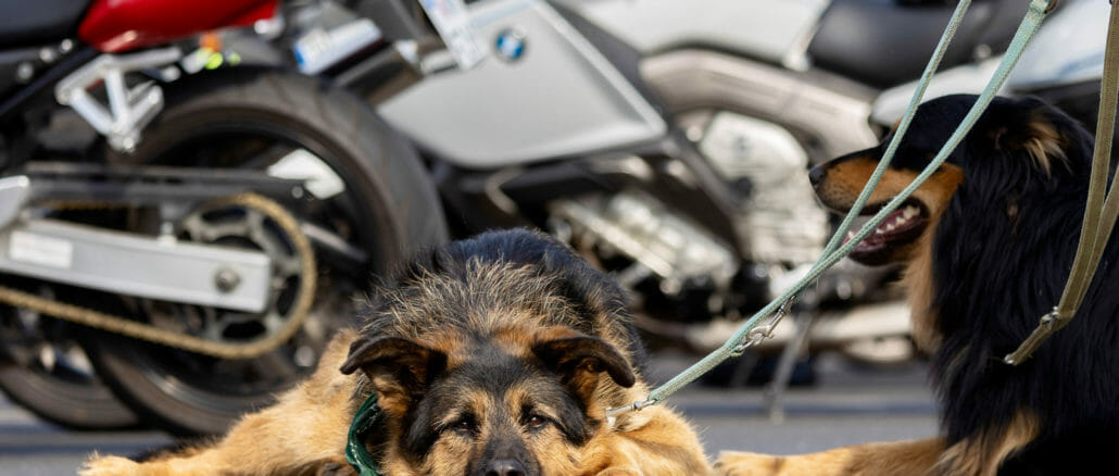 Fellows Ride Quelle Facebook