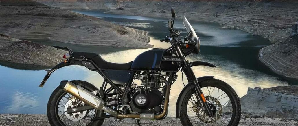 himalayan