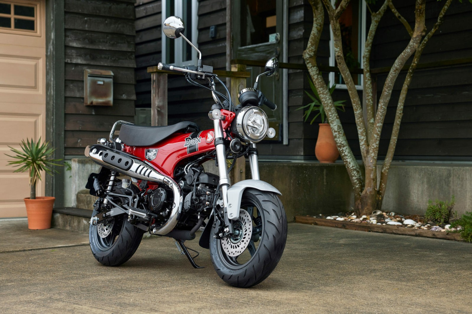 Rückkehr der Honda Dax - nach 41 Jahren 25 Honda ST125 DAX 2022 48