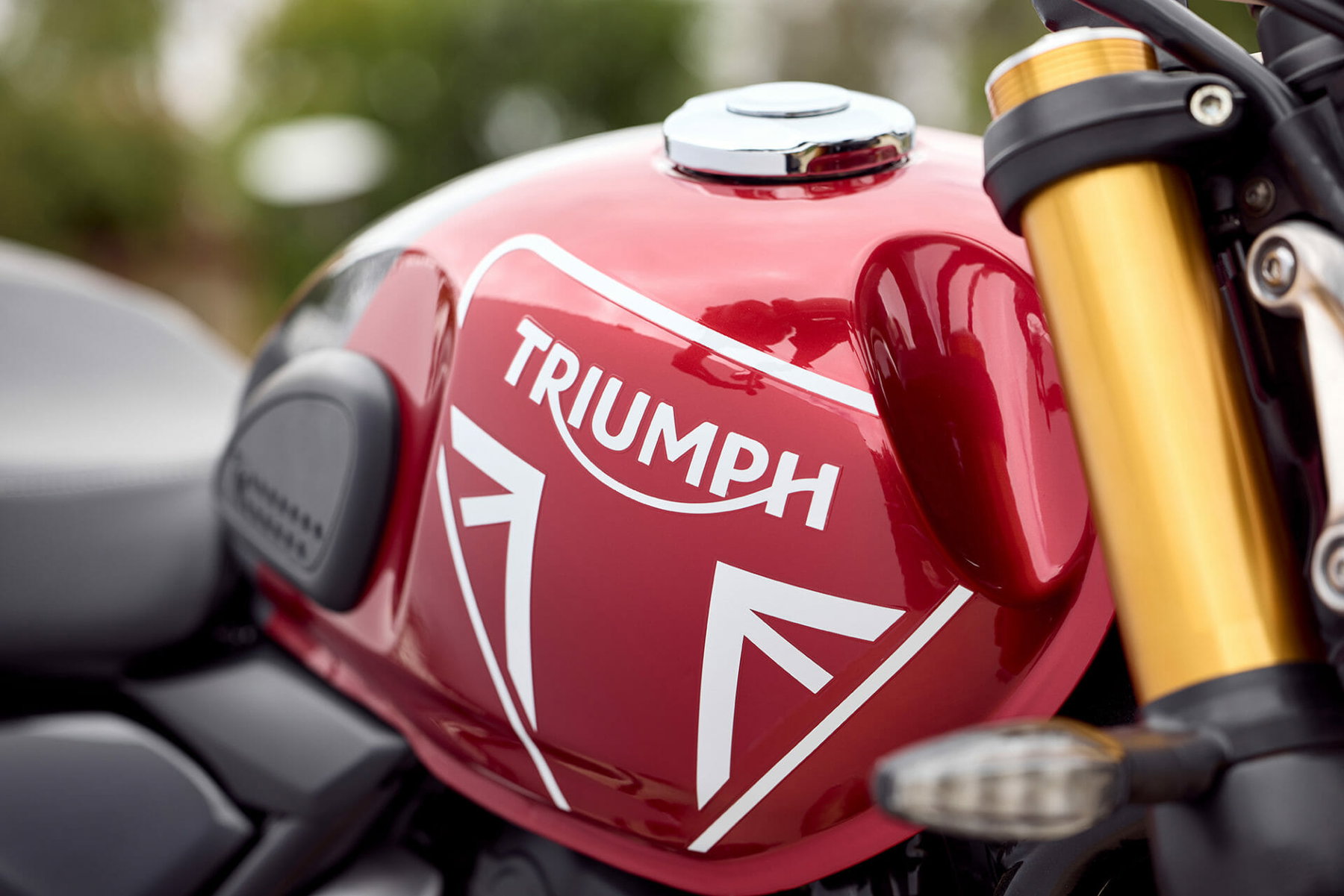Triumph Thruxton 400 – Compact café racer to launch in 2025