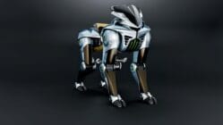 Kawasaki Corleo 5 1