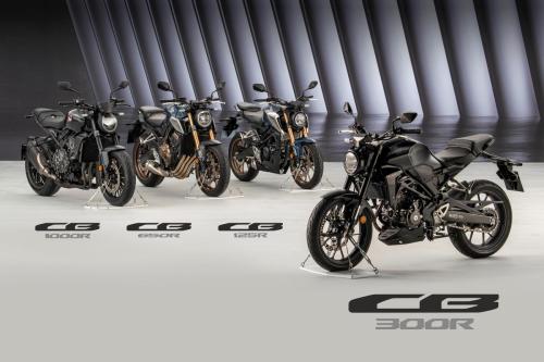 2022 HONDA CB300R