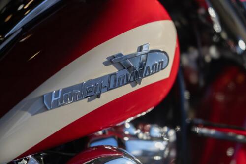 Harley-Davidson Hydra-Glide Revival (3)