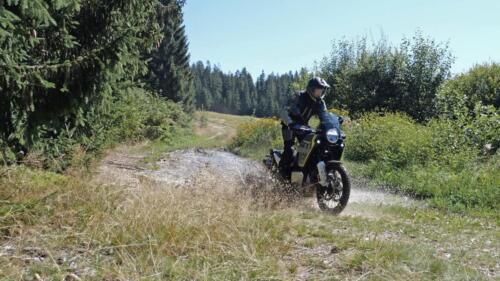 Husqvarna Norden 901 - 2024 (2)