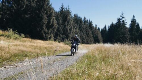 Husqvarna Norden 901 - 2024 (3)