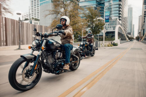 Indian Chief Dark Horse - 2025 (1)