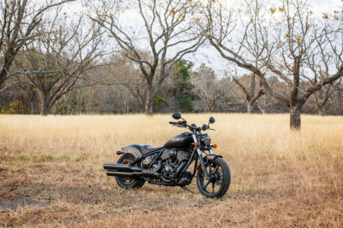 Indian Chief Dark Horse - 2025 (3)