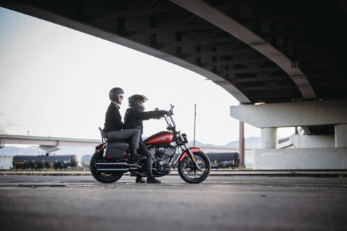 Indian Chief Dark Horse - 2025 (37)