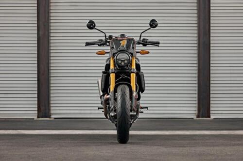 Indian FTR x RSD Super Hooligan (15)