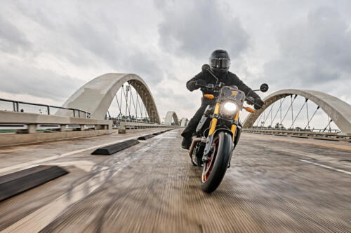 Indian FTR x RSD Super Hooligan (30)