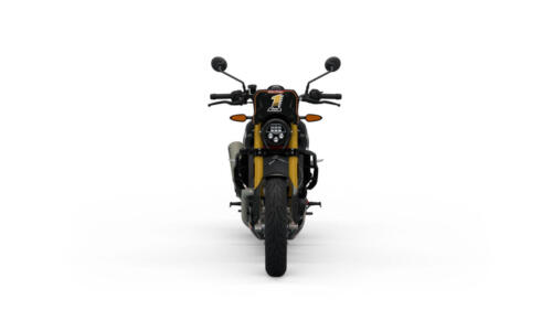 Indian FTR x RSD Super Hooligan (9)