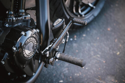 Indian Sport Chief RT - 2025 (13)