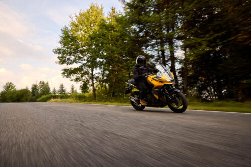 OE_TigerSport800_MY25_02945_JP