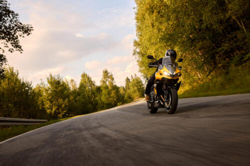 OE_TigerSport800_MY25_03017_JP