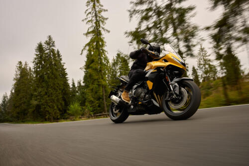 OE_TigerSport800_MY25_03156_JP
