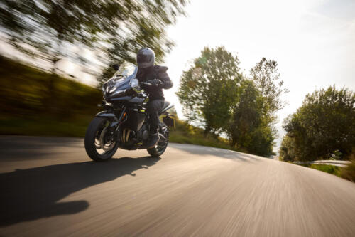 OE_TigerSport800_MY25_06369_JP