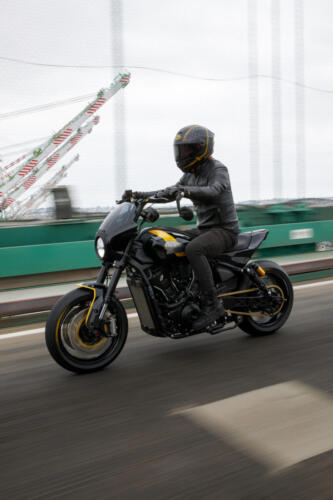 RDS Indian Scout für Joshua Dun (14)