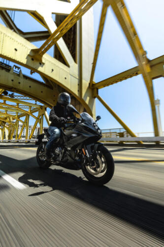 Suzuki GSX-8R - 2024 (158)
