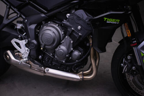 TigerSport660_MY25-3091_GE