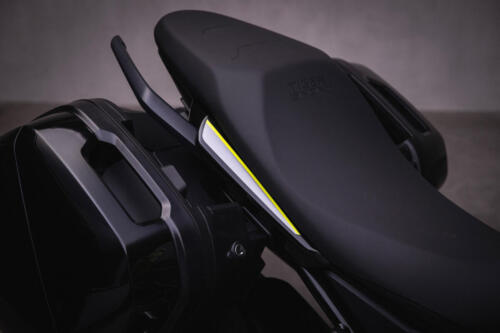 TigerSport800_MY25-2263_GE