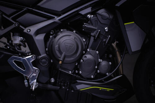 TigerSport800_MY25-2373_GE