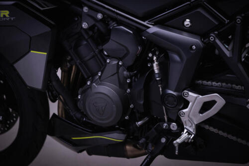 TigerSport800_MY25-2517_GE