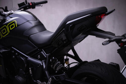 TigerSport800_MY25-2531_GE