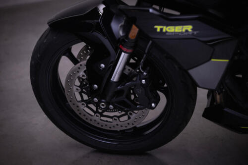 TigerSport800_MY25-2595_GE