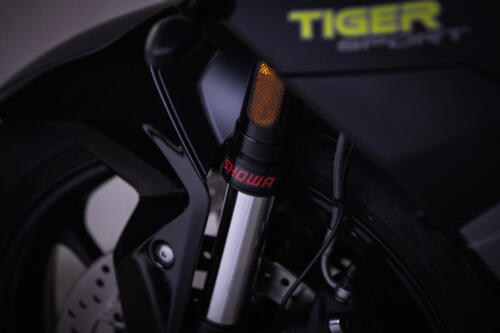 TigerSport800_MY25-2602_GE