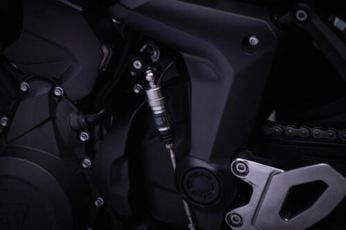 TigerSport800_MY25-2605_GE