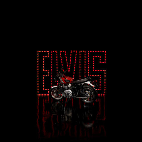 Triumph BONNEVILLE T120 ELVIS PRESLEY LIMITED EDITION (16)