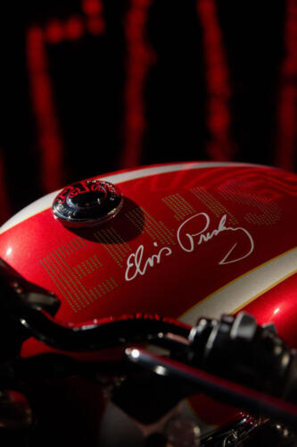 Triumph BONNEVILLE T120 ELVIS PRESLEY LIMITED EDITION (6)